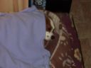 100_0021.JPG