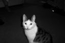 100_0065.JPG