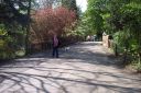 100_2536.jpg