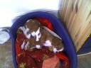 Picture_0002.jpg