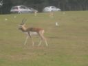 DSCN0208.jpg