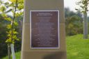 IMGP0992.JPG