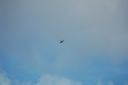 DSC_1505.JPG