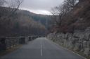 DSC_1516.JPG