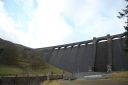 DSC_1556.JPG