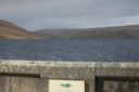 DSC_1583.JPG