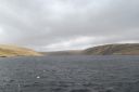 DSC_1600.JPG