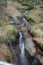 DSC_1610.JPG