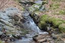 DSC_1611.JPG