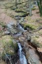 DSC_1612.JPG