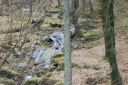 DSC_1616.JPG