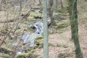 DSC_1617.JPG