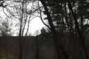 DSC_1642.JPG