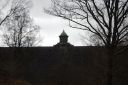 DSC_1646.JPG