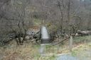 DSC_1663.JPG