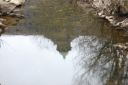 DSC_1666.JPG