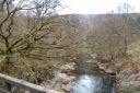 DSC_1667.JPG