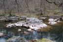 DSC_1669.JPG