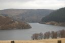 DSC_1694.JPG