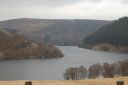 DSC_1695.JPG