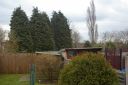IMGP5581.JPG