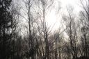 DSC_1186.JPG