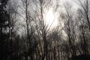 DSC_1187.JPG