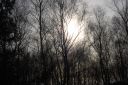 DSC_1188.JPG