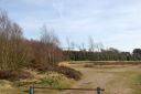 DSC_1193.JPG