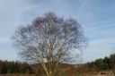 DSC_1196.JPG