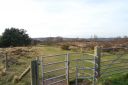 DSC_1197.JPG