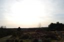 DSC_1205.JPG