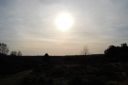 DSC_1206.JPG