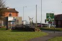 DSC_1232.JPG