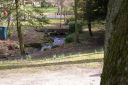 IMGP6321.JPG