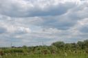 DSC_3040.JPG