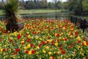 DSC_2919.JPG
