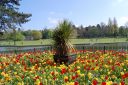 DSC_2921.JPG