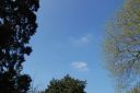 DSC_2972.JPG