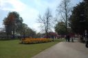 DSC_2982.JPG