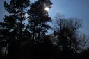 DSC_2990.JPG