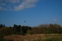 DSC_2860.JPG