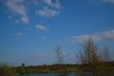 DSC_2875.JPG