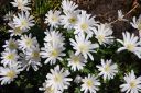 DSC_2641.JPG