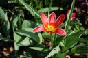 DSC_2643.JPG