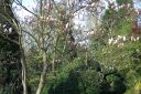 DSC_2644.JPG