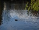 DSC_2684.JPG