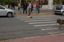 IMGP8253.JPG