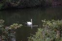 DSC_2752.JPG