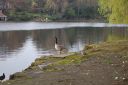 DSC_2772.JPG
